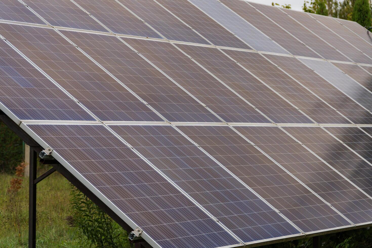 Rows of solar panels gleam under the bright sun, set against a lush green field, showcasing clean technology dedicated to harnessing renewable energy for a sustainable future photo