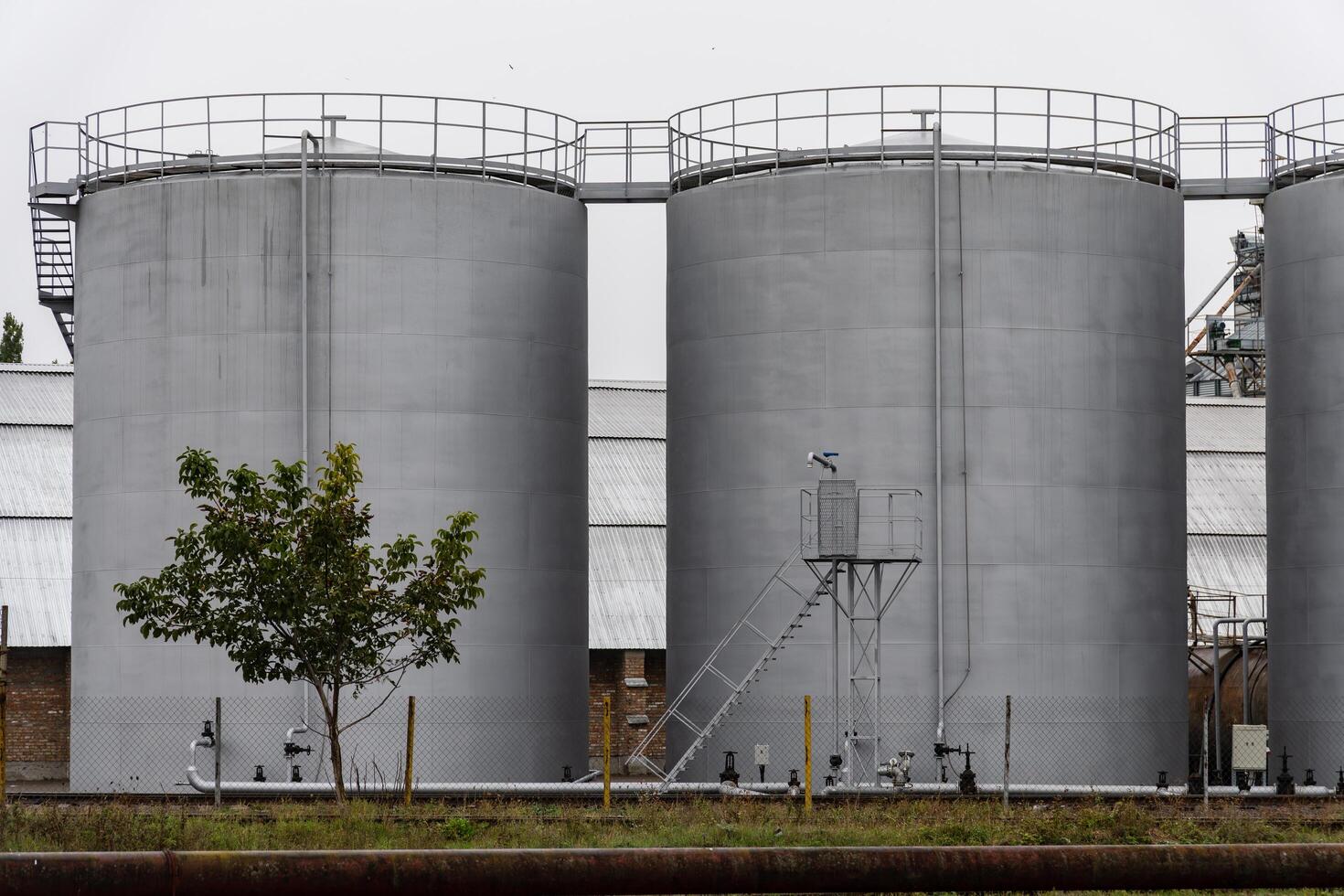Several large fuel storage tanks stand at an industrial site, surrounded by a few trees and equipment, reflecting an overcast atmosphere in the morning light photo