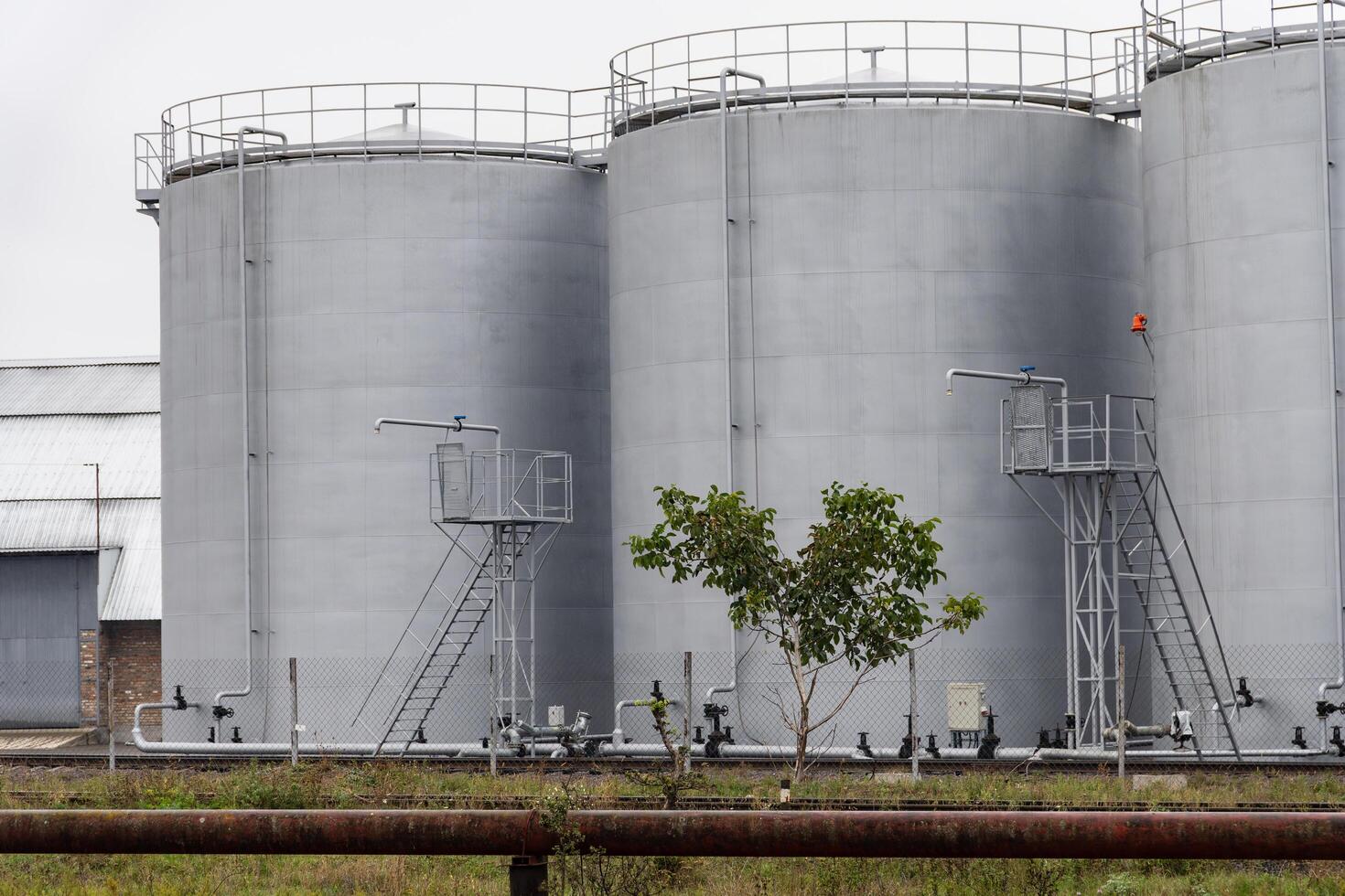 Large fuel storage tanks are positioned at an industrial site with a lone tree nearby, showcasing the contrast between infrastructure and nature on an overcast day photo