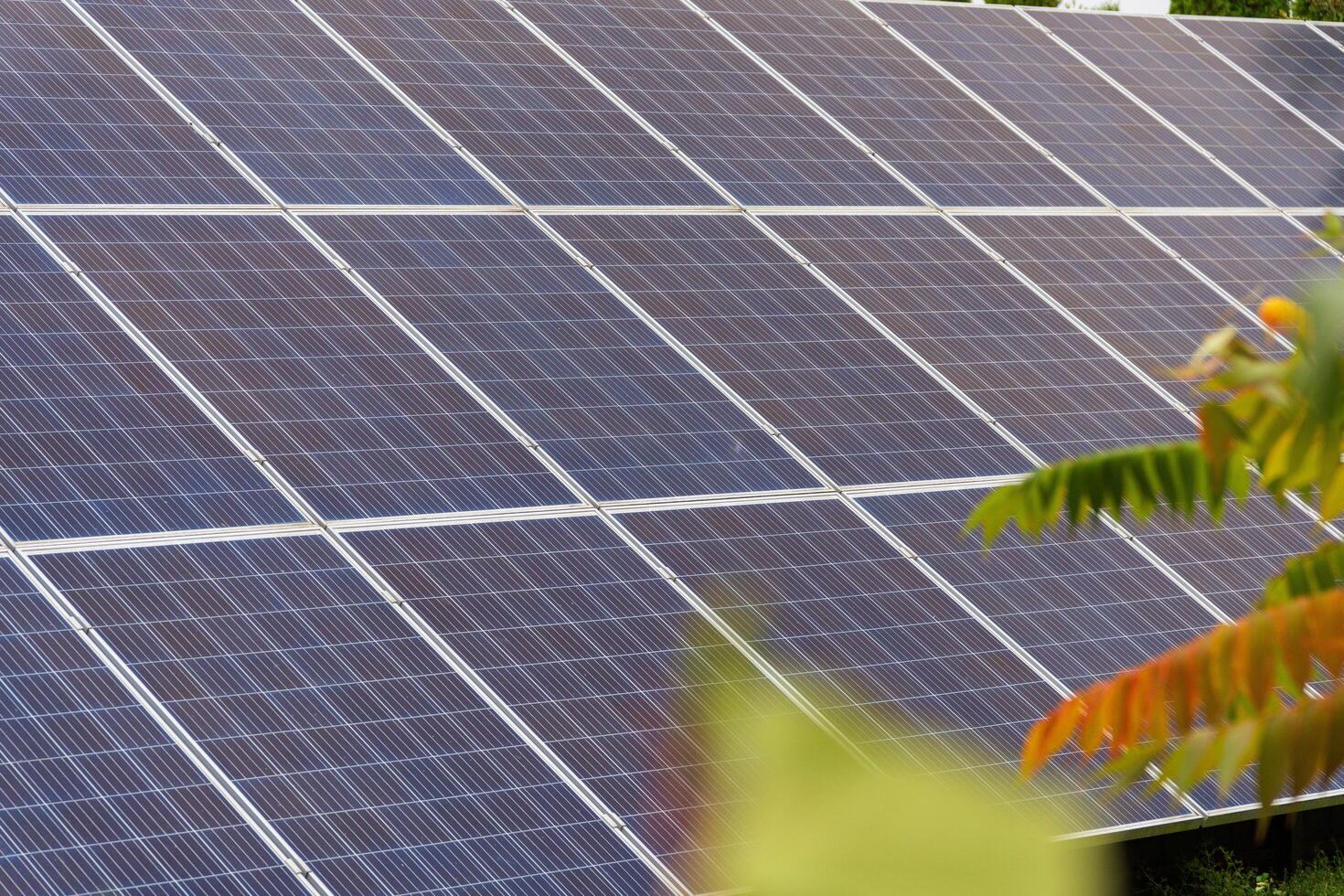 Solar panels installed on a rooftop capture sunlight to generate electricity, showcasing renewable energy technology in a bright, sunny setting photo