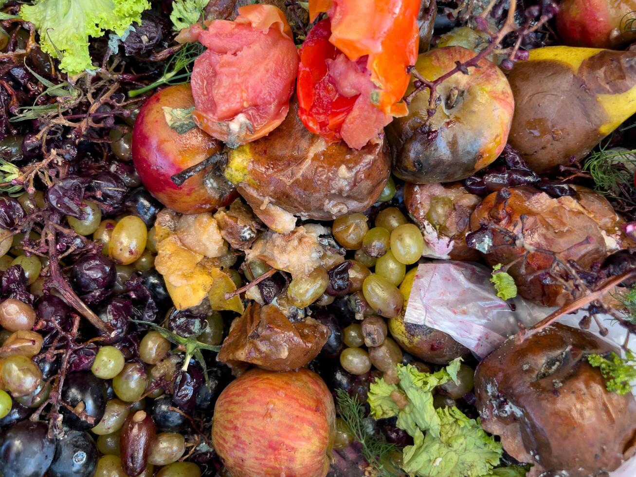 Decayed fruits and vegetables are piled together, showcasing vibrant yet spoiled produce. This recycling effort occurs during the fall, promoting sustainable waste management photo