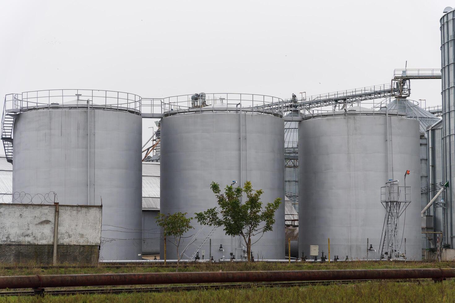 The towering silo tanks stand prominently at a grain elevator site, ready to support the harvest of crops. They are essential for storing grain after harvest operations photo