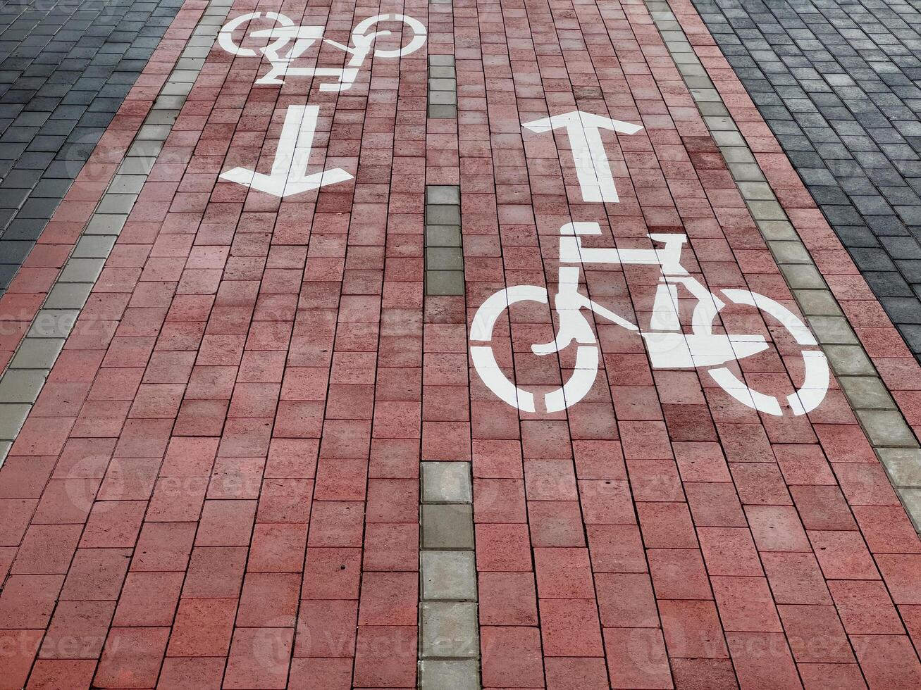 A red brick bike lane features clear directional signs for cyclists, ensuring safe and organized travel along the path in bright daylight photo