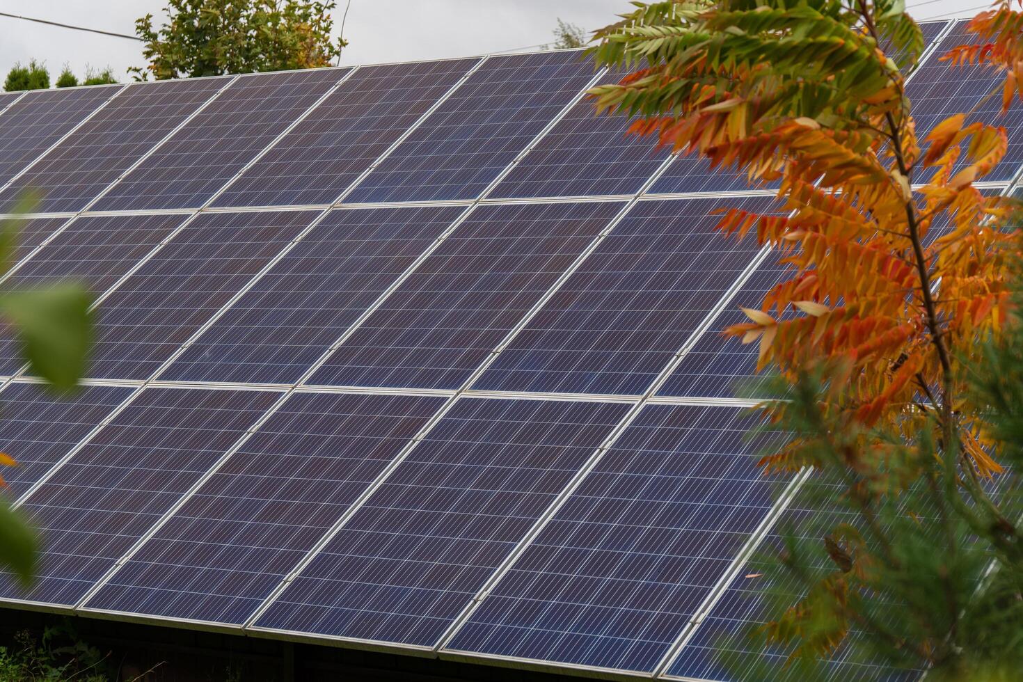 Solar panels are positioned amid vibrant foliage, collecting sunlight efficiently during a clear day, contributing to renewable energy efforts photo
