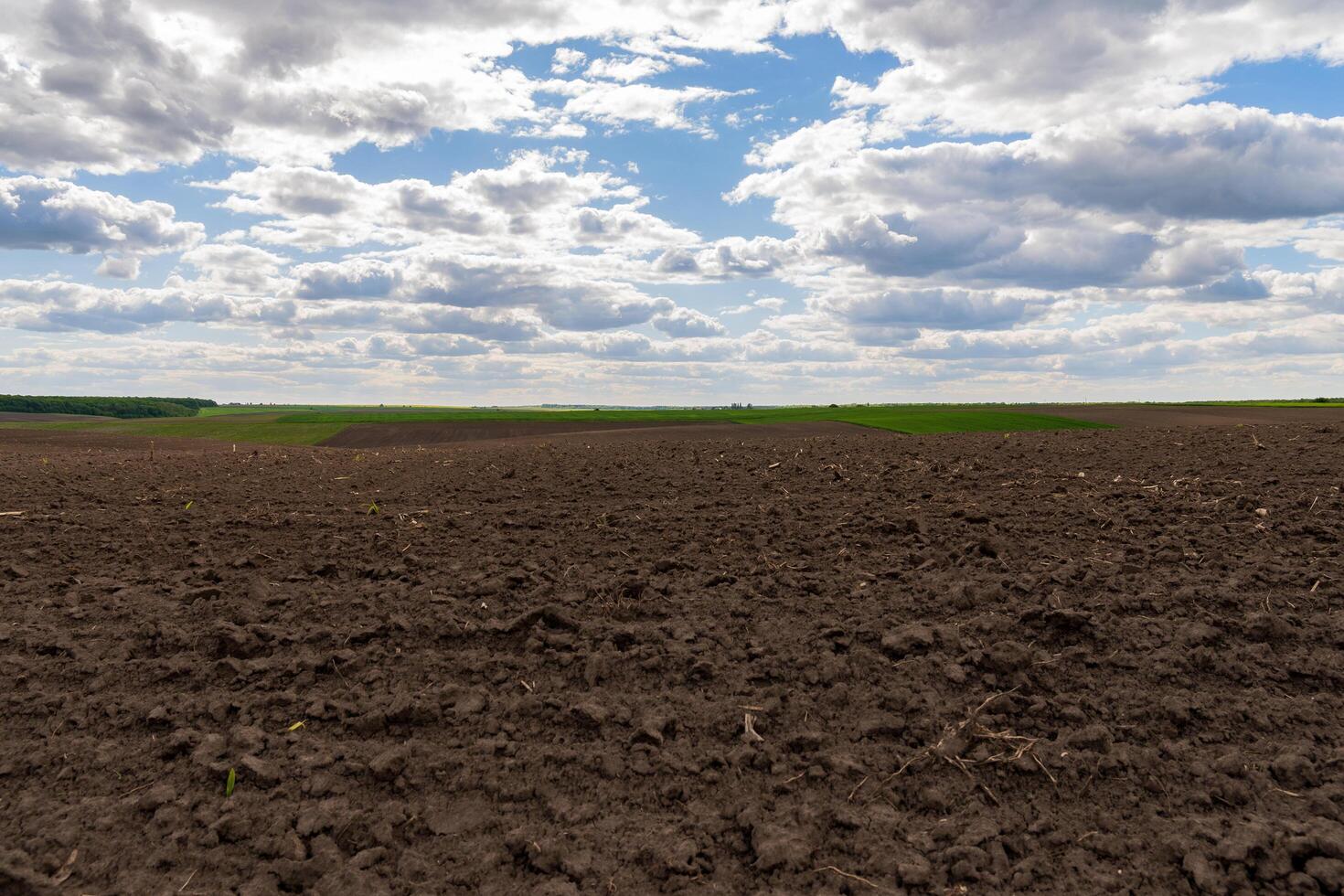 A wide plowed agricultural field extends towards the horizon, showcasing rich brown soil under a sky filled with fluffy clouds and patches of green in the background photo