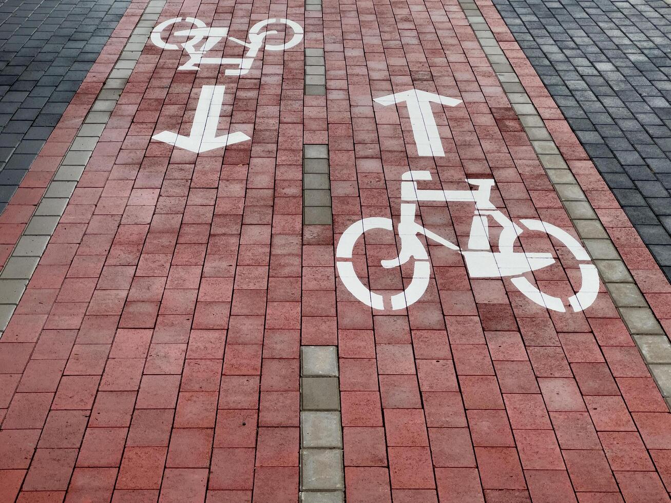 Clear bike lane signs indicate directional flow for cyclists, enhancing safety and organization on this urban pathway. The lanes are marked for efficient travel photo
