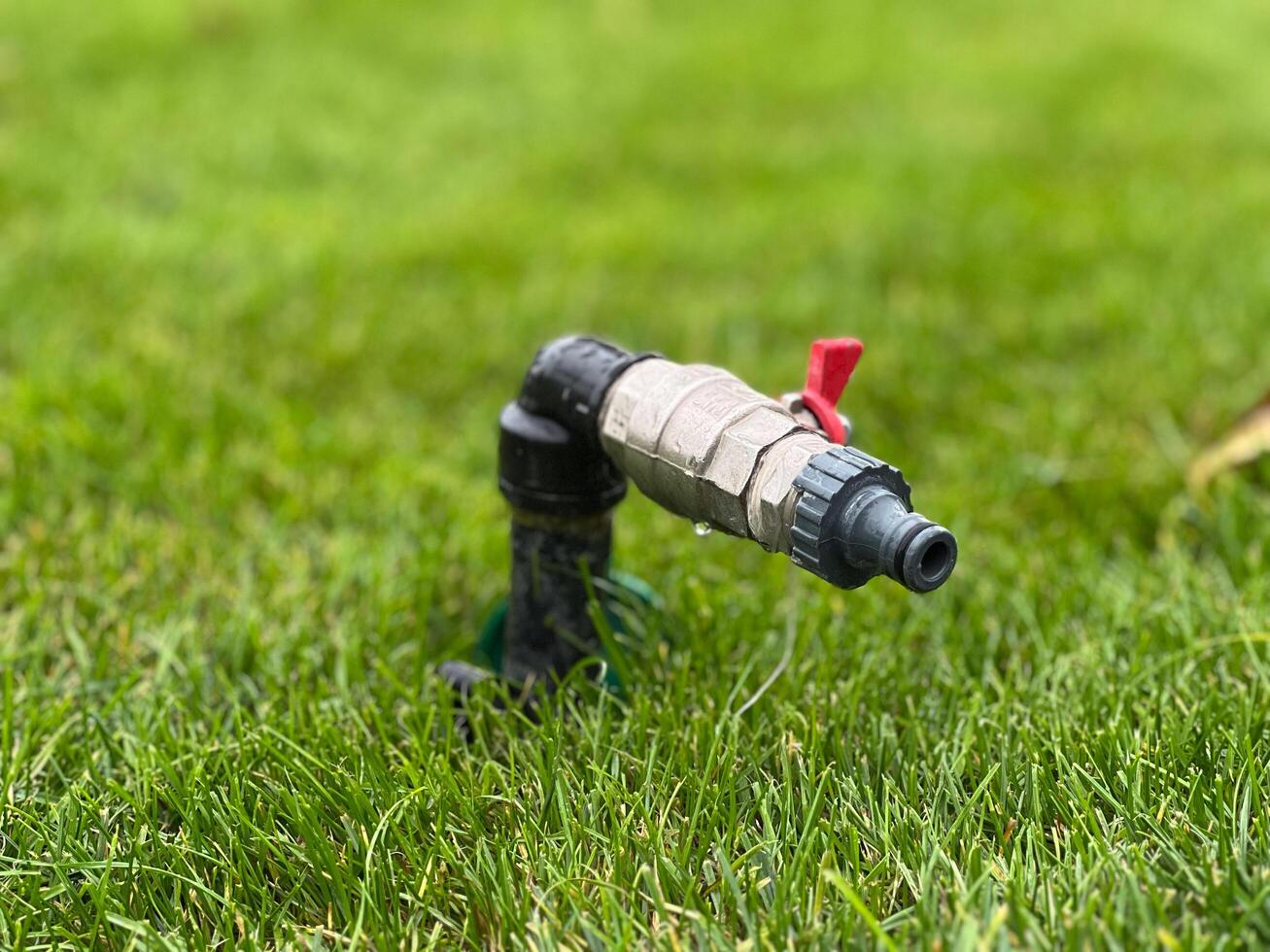 The water faucet is positioned in the middle of a vibrant grassy area, showcasing its role in facilitating gardening and irrigation as the sun shines down photo