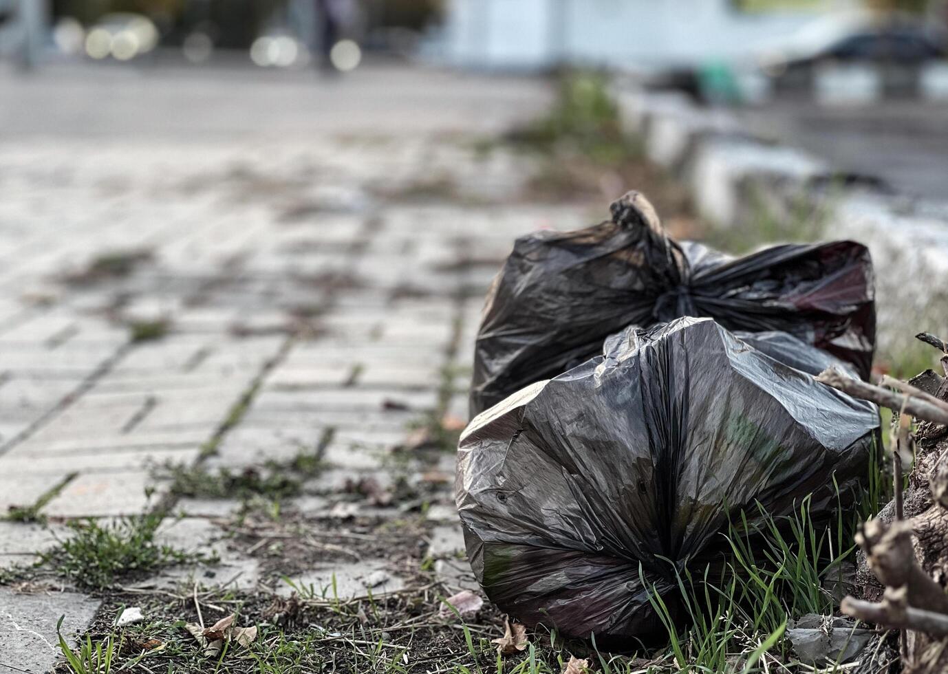 A black plastic bag overflowing with trash rests on the ground next to a brick walkway, highlighting the litter problem in a neglected public space photo