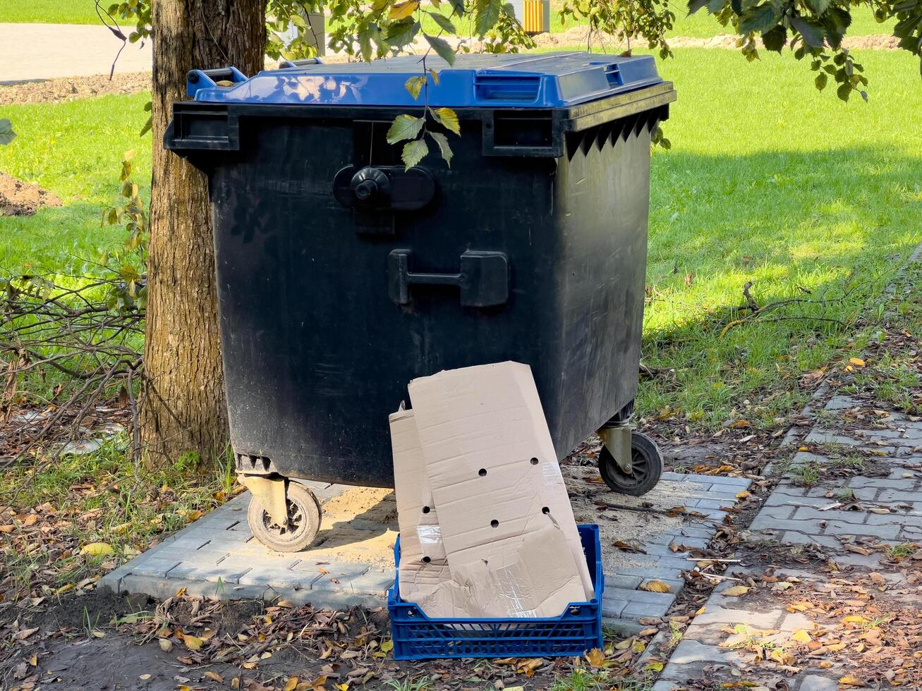 The black trash can sits near a tree on a street, with a cardboard box placed beside it, suggesting recent rubbish collection in a bright, outdoor environment photo