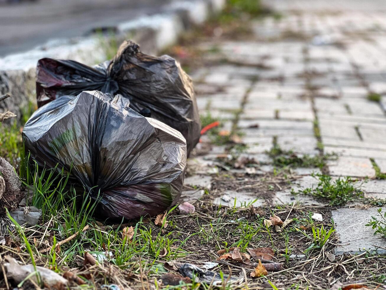 A plastic bag is laying on the ground next to a brick walkway. The bag is black and he is full of trash. Concept of neglect and disregard for the environment photo