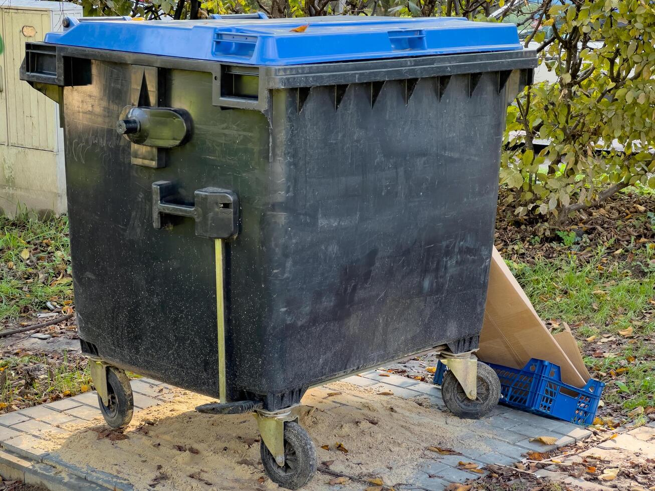 A large black recycling bin with a blue lid is sitting on a concrete pad. It has four wheels and is partially surrounded by fallen leaves photo