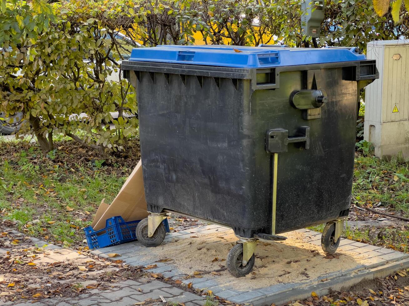 A sturdy black waste container is positioned next to a colorful autumn backdrop, surrounded by fallen leaves and debris. It's a sunny day, illuminating the scene photo