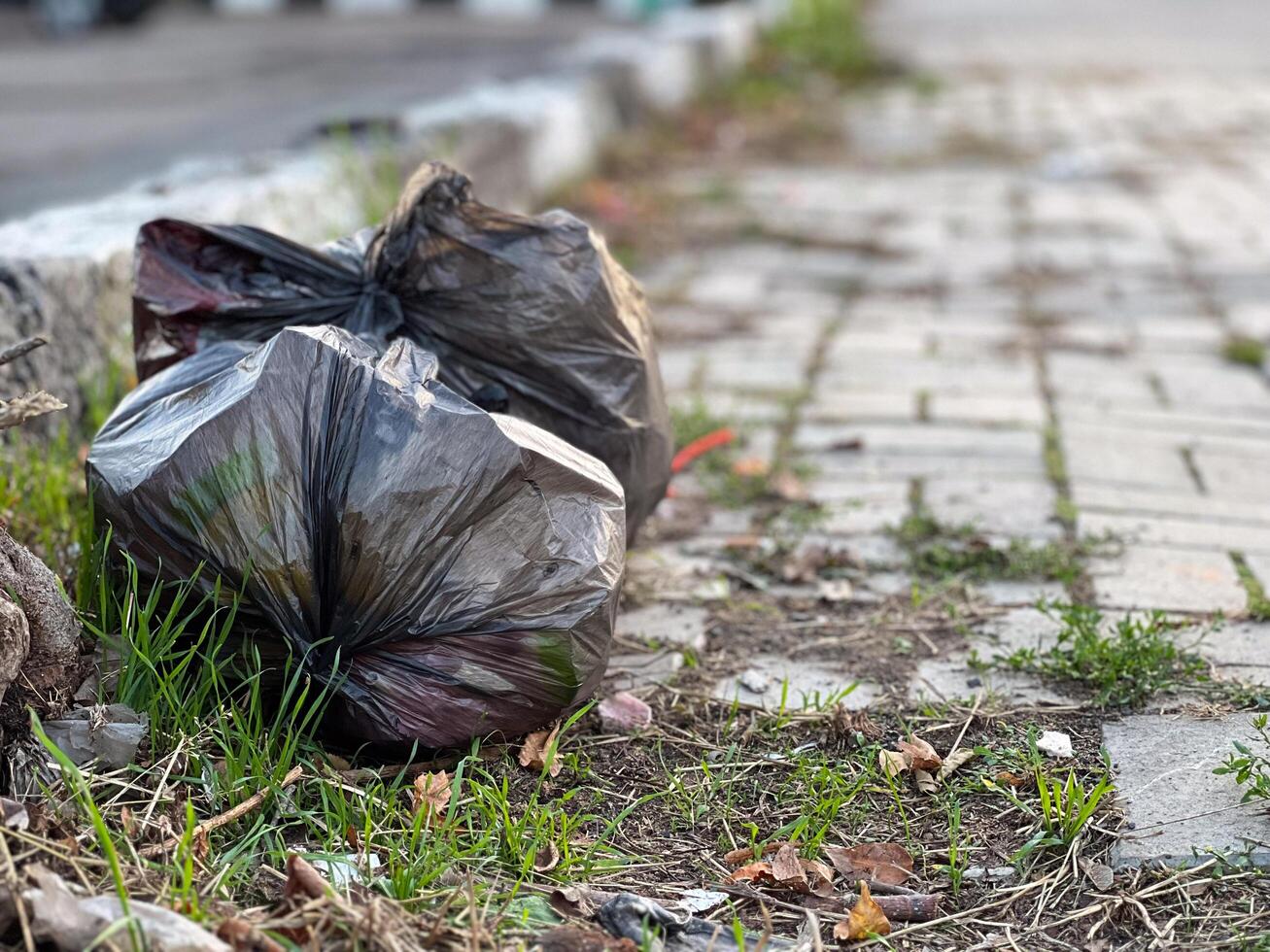 Two black garbage bags sit neglected on the pavement, blending with the lush grass, reflecting the consequences of urban littering in the afternoon sun photo