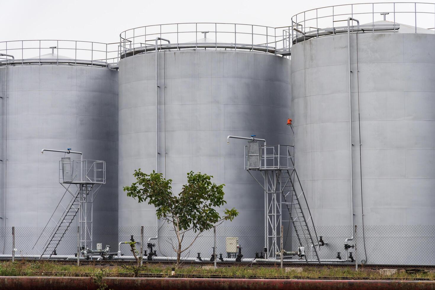 Three large, gray storage tanks, with metal catwalks and ladders, stand against a pale sky. A small tree grows in the foreground, its branches reaching towards the tanks photo