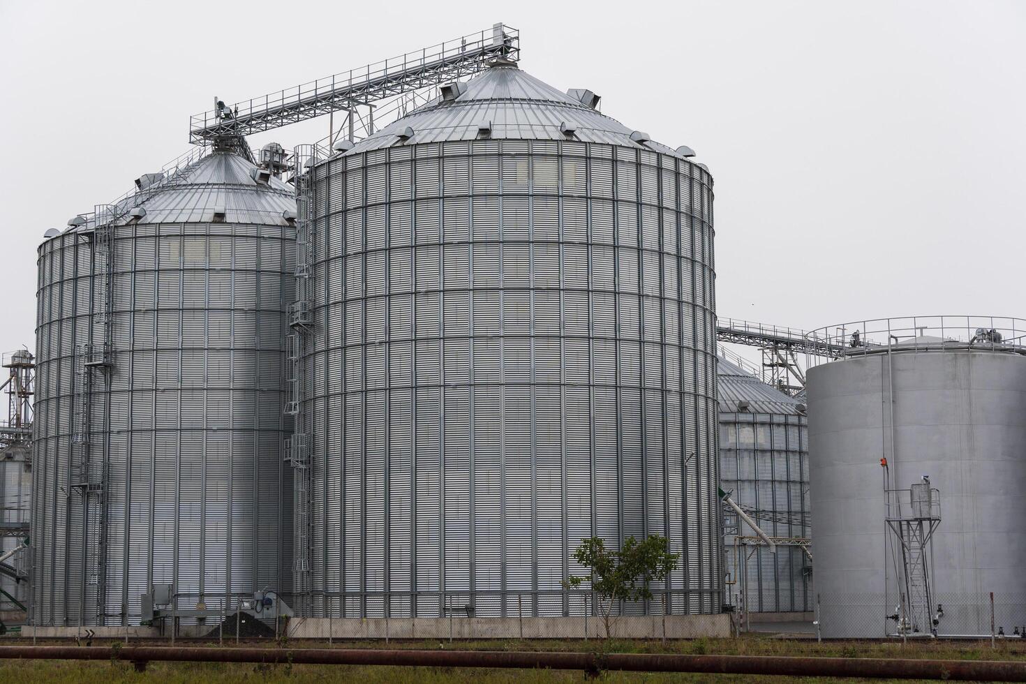 Several large metal silos are seen in a grain storage facility, surrounded by industrial structures, while a cloudy sky looms overhead photo