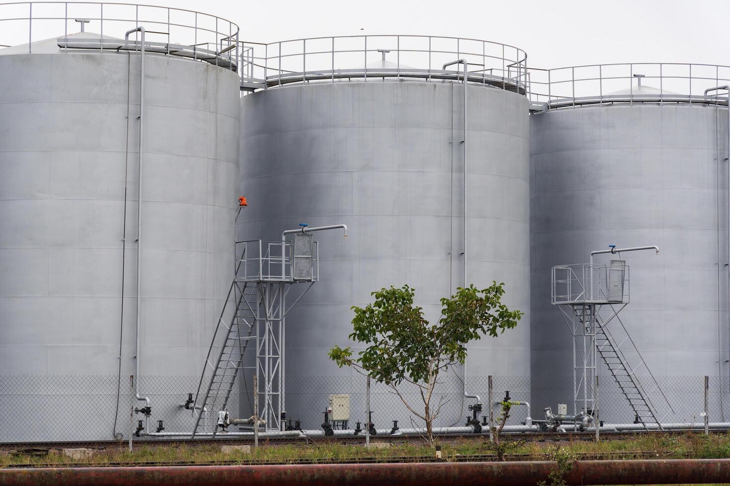 Large, gray industrial storage tanks stand at a manufacturing facility. A small tree grows next to the tanks under a cloudy sky, creating a contrast between nature and industry photo
