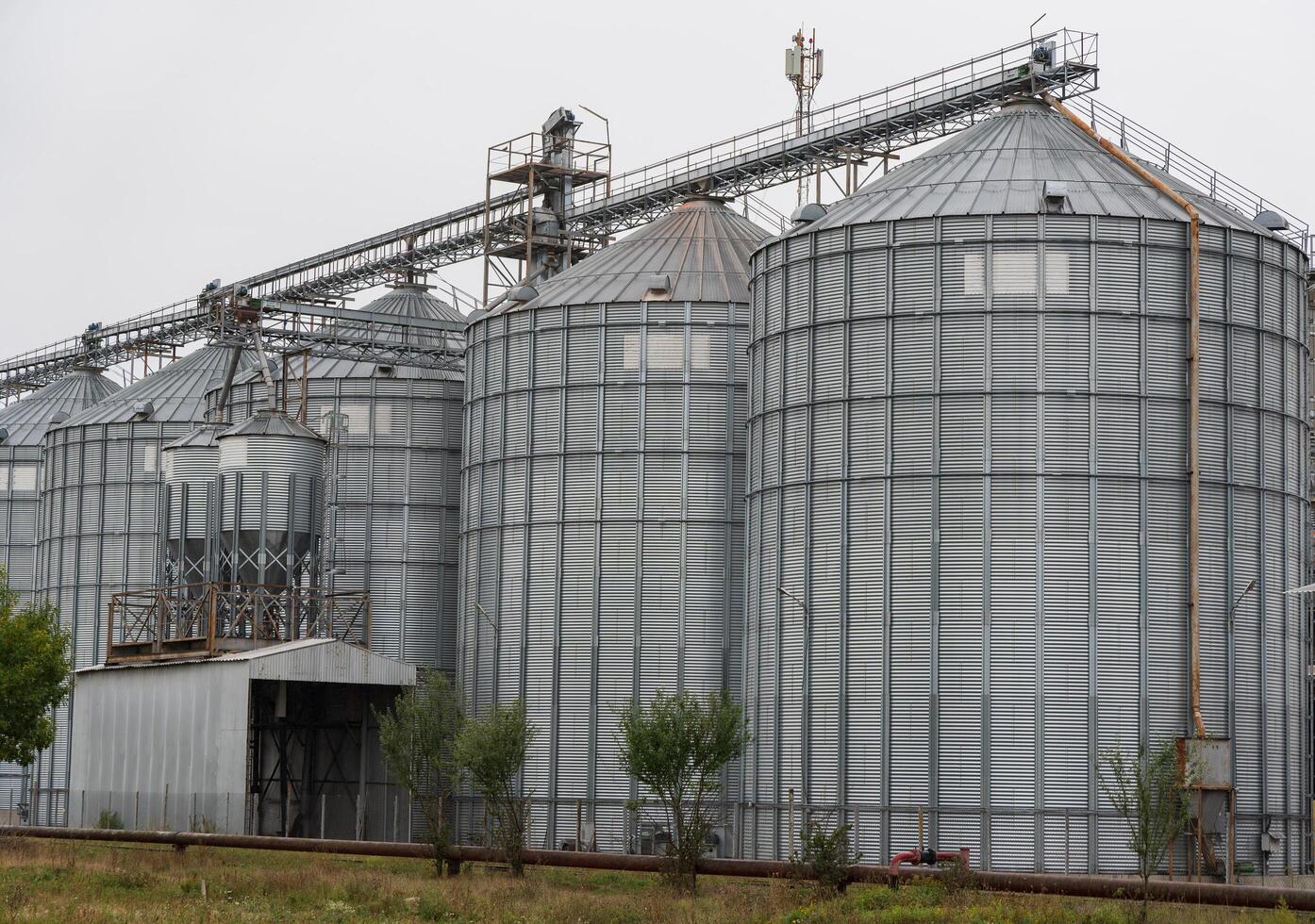 The image showcases several large metallic grain silos situated at an agricultural facility. The overcast sky casts a neutral tone over the industrial landscape, framed by greenery photo