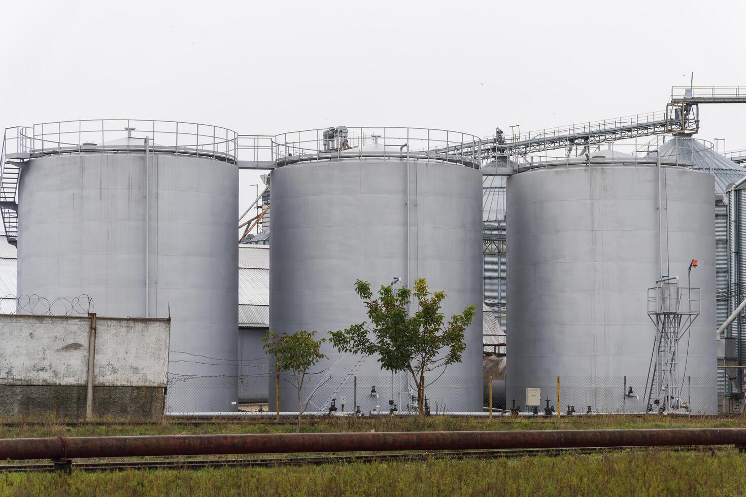 Three large, cylindrical storage tanks stand prominently at a grain processing facility, surrounded by an expansive agricultural landscape under cloudy skies photo