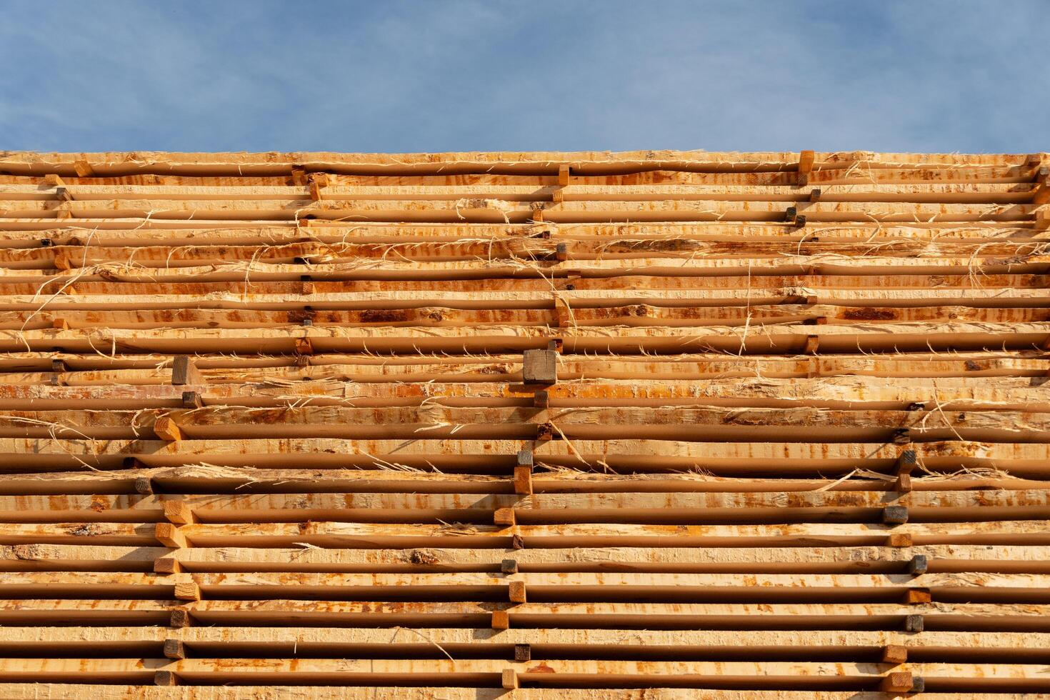 Freshly cut timber logs are stacked neatly at a lumber yard, allowing them to dry under a bright blue sky. The wooden structure showcases careful organization and preparation photo