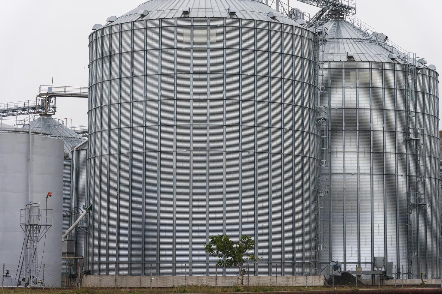 The structure features several tall, cylindrical silos made of metal, designed for storing grain. They stand in a rural farming area during cloudy weather photo