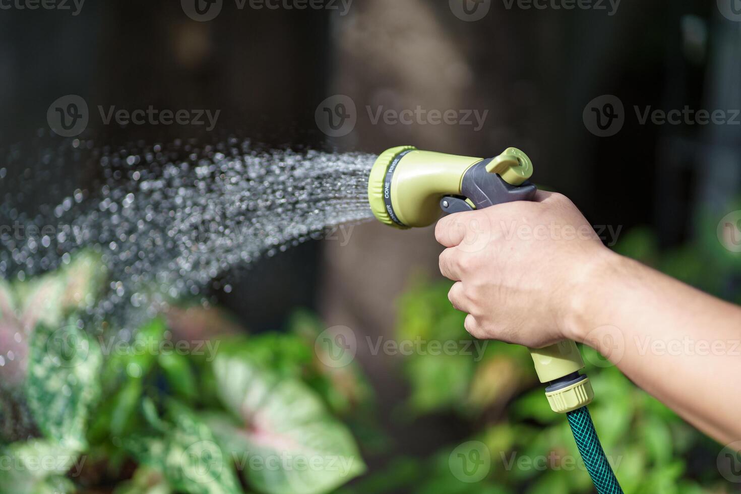 a man is watering a plant with a hose. photo