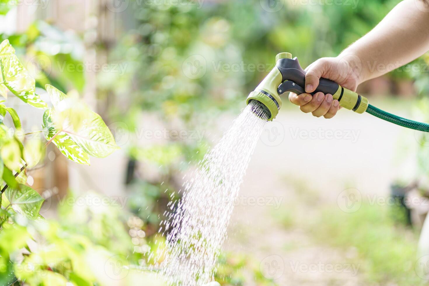 a person is watering plants with a hose. photo