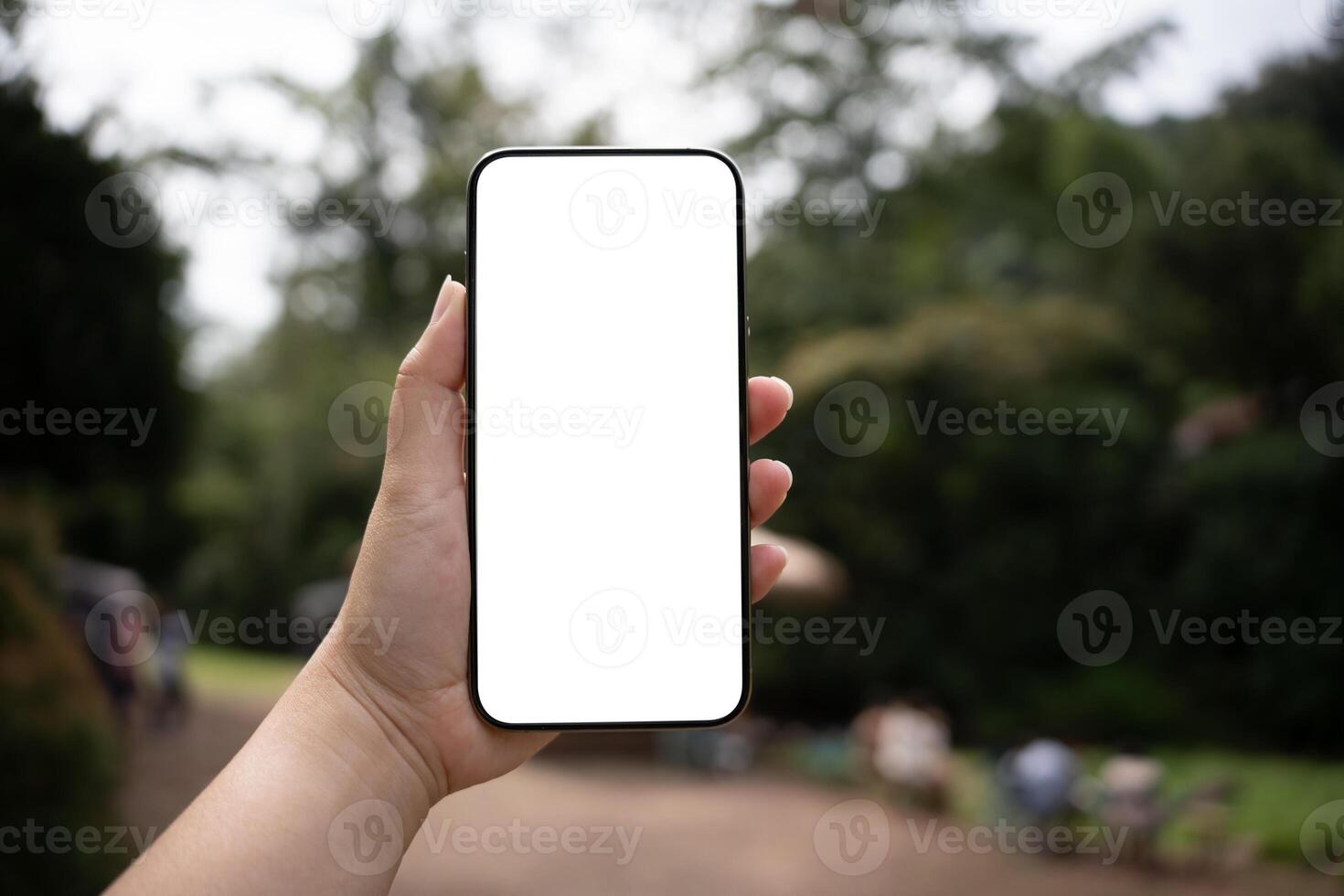 Smart phone mockup, Women hands holding cell telephone blank copy space screen smartphone blank white screen isolated technology. photo