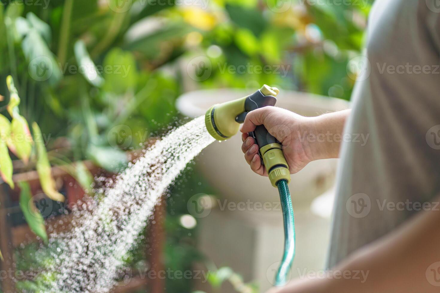 a man is watering a plant with a hose photo