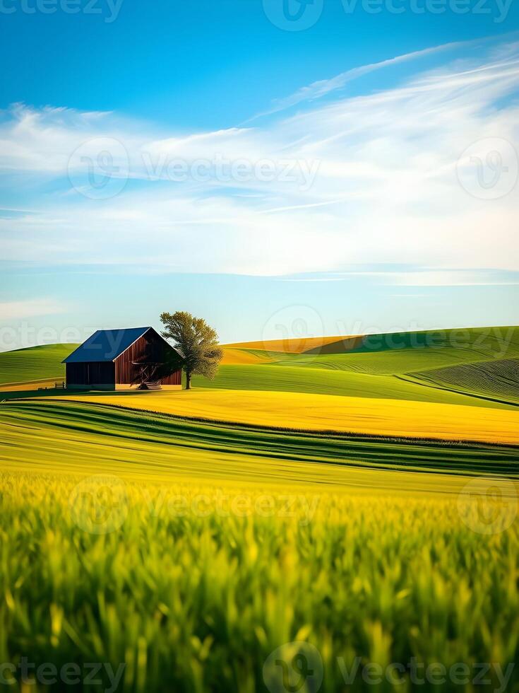 A barn sits in the middle of a field photo