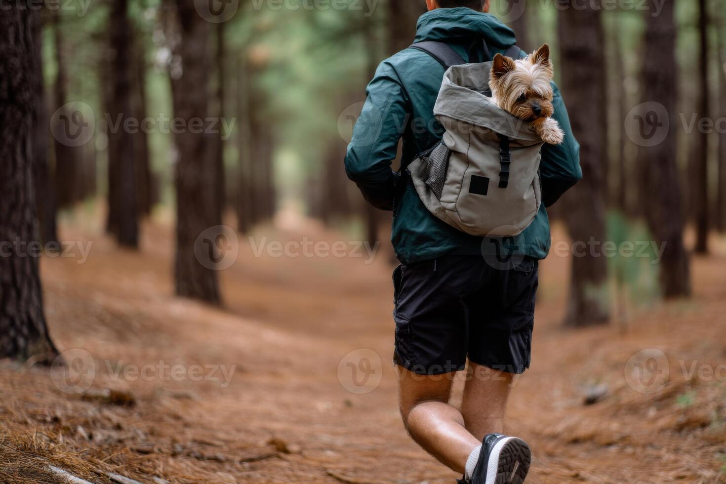 A man with a dog in a backpack walking through the woods photo