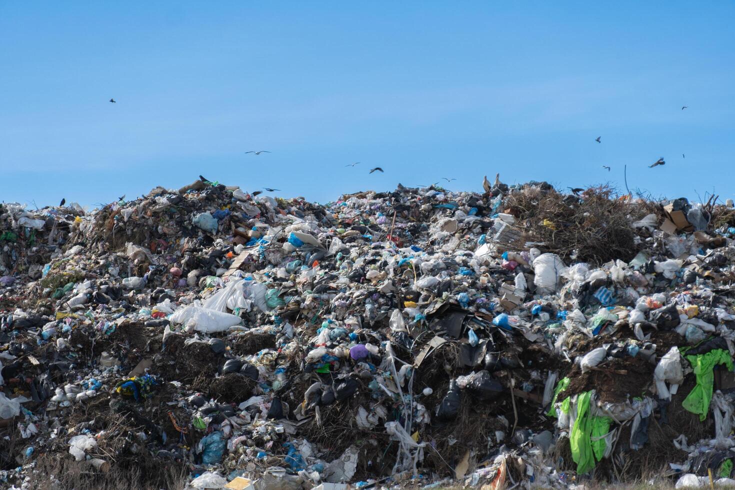 Vast Garbage Landfill with Flying Birds Against Clear Blue Sky Showing Overconsumption Issues and Environmental Concerns photo
