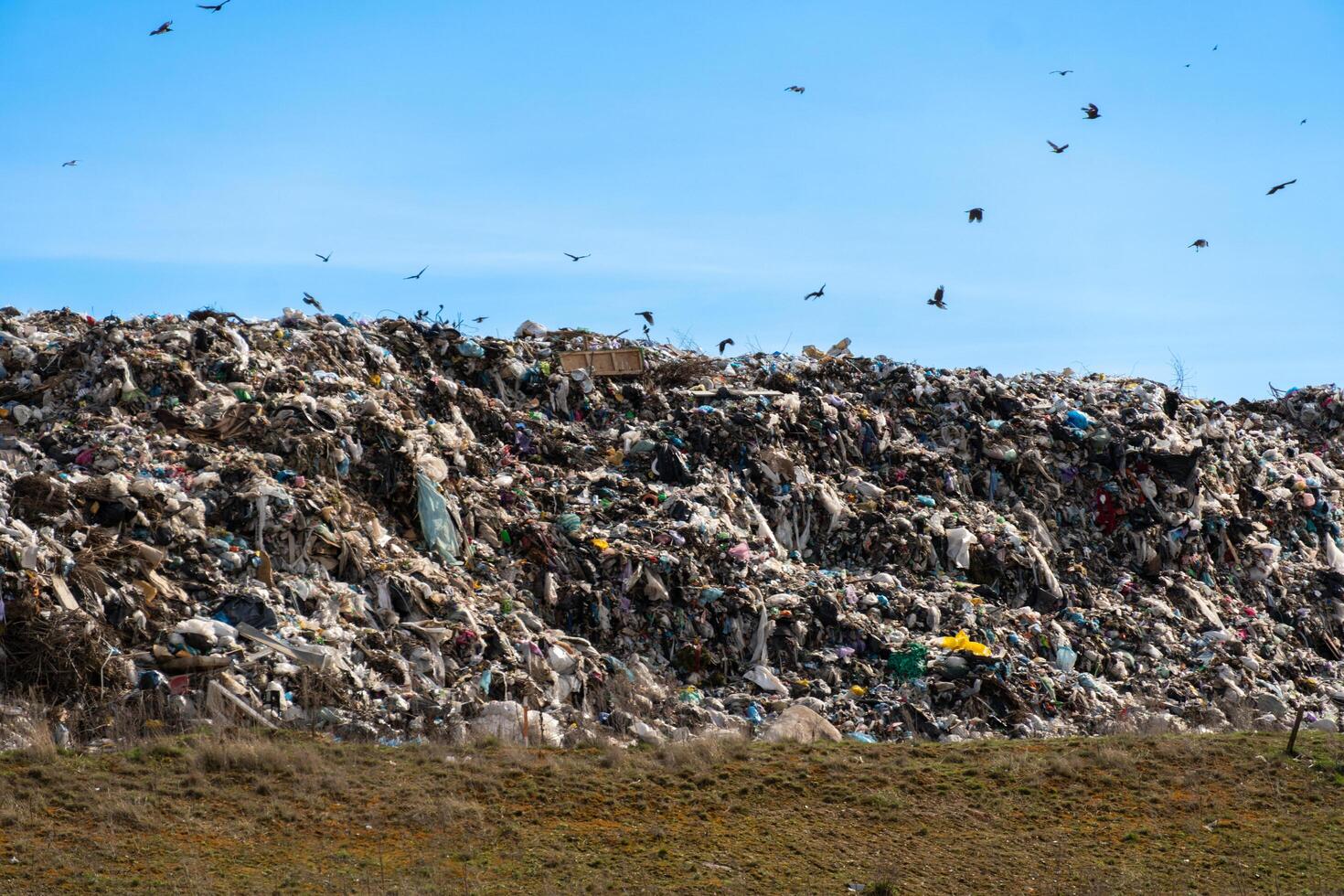 Vast landfill featuring household waste and debris, with numerous birds flying over a sunny blue sky, highlighting waste management photo