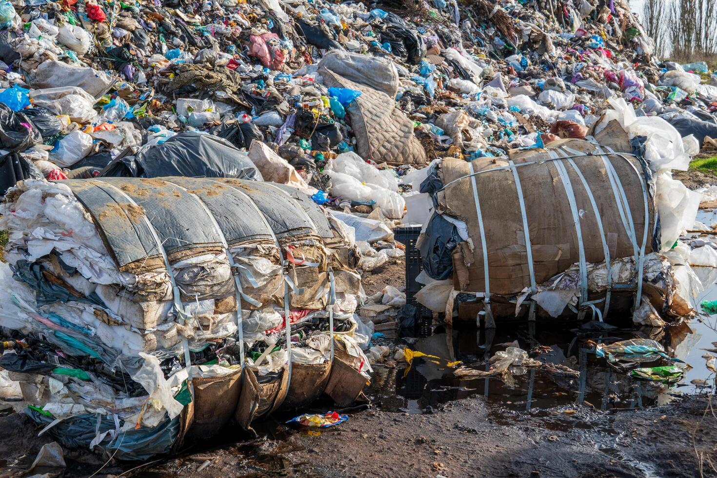 Overflowing landfill with compressed trash bundles reflects in a puddle of water showing environmental pollution issues. photo