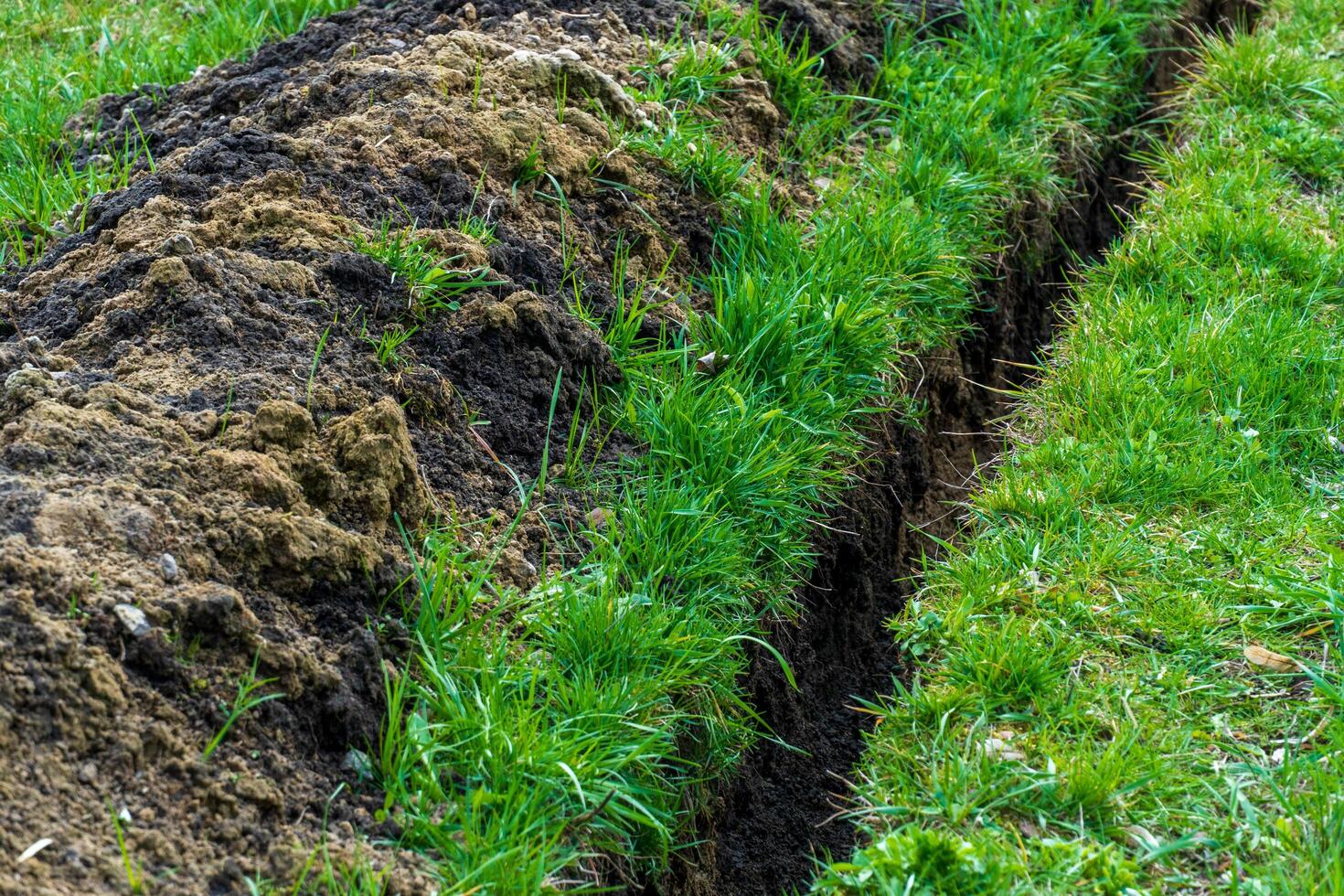Newly dug drainage ditch with rich soil and green turf, reflecting a recent landscaping or gardening project for yard improvement. photo
