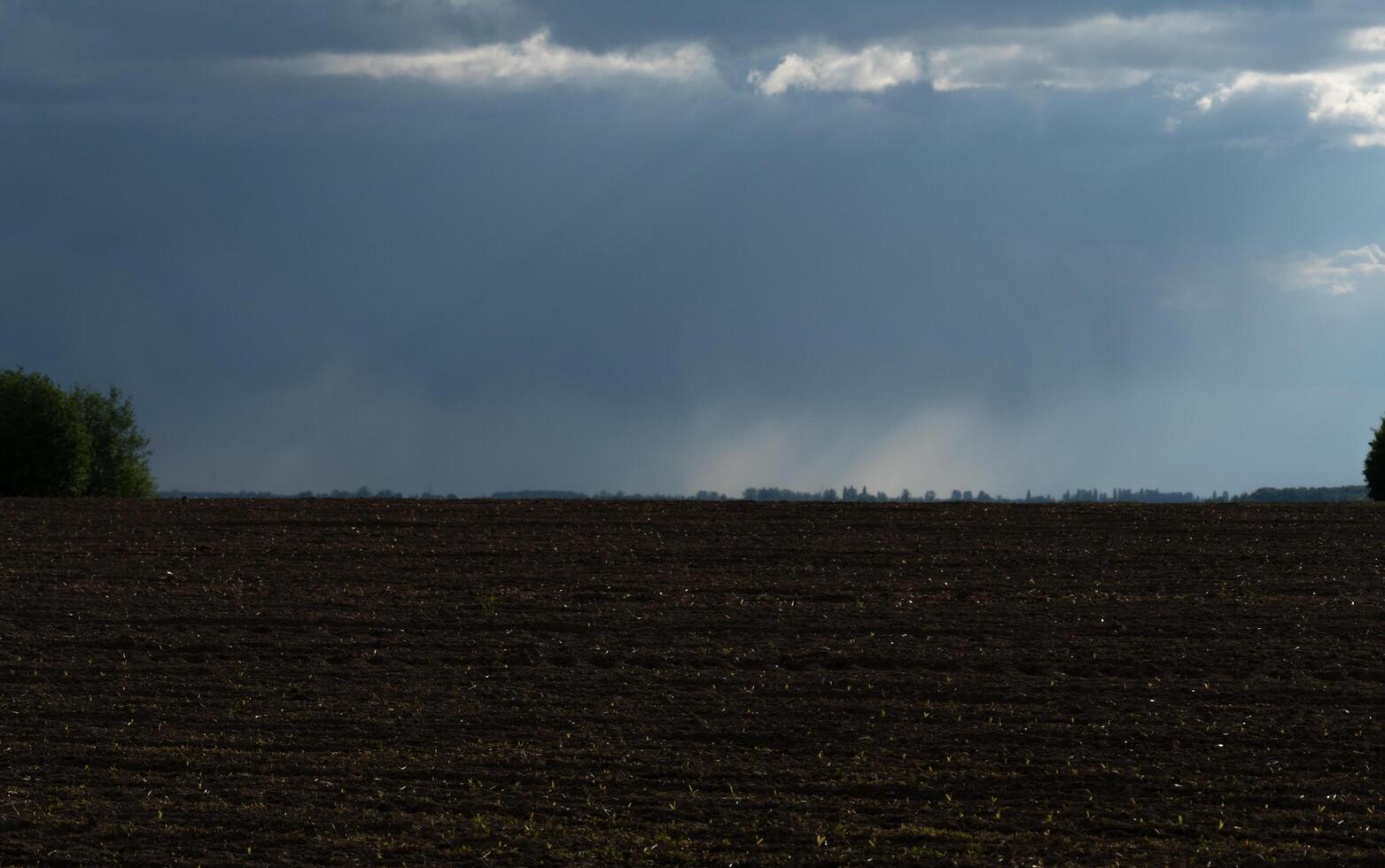 A dramatic landscape shows dark soil under ominous storm clouds with pouring rain and distant trees on the horizon. photo
