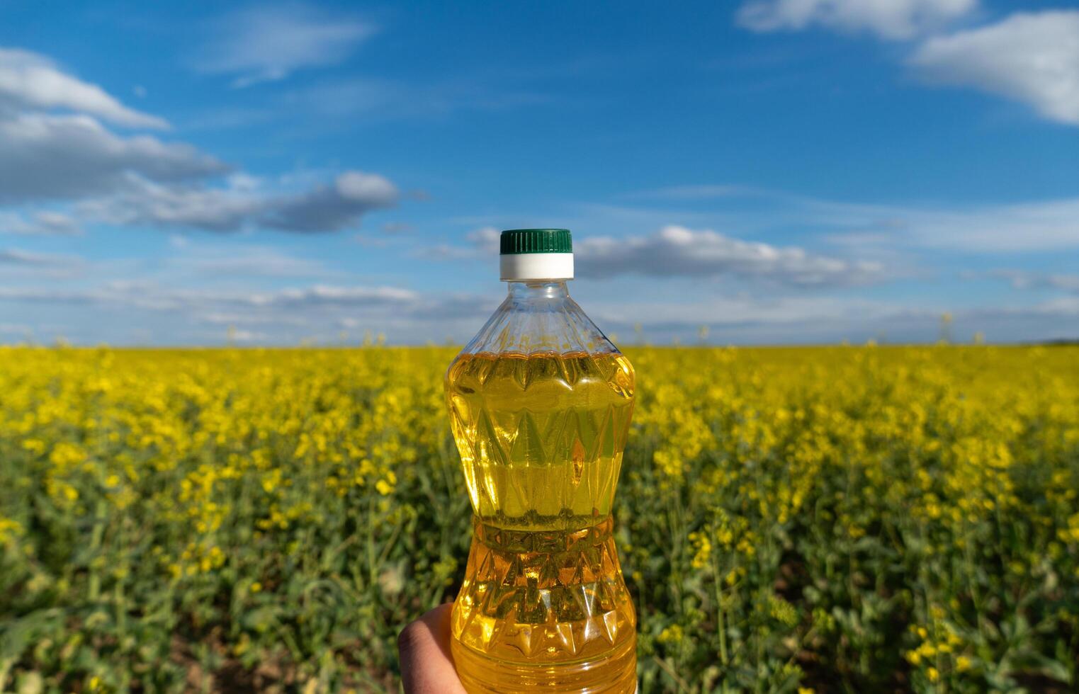 Canola oil bottle held in hand against field of bright yellow canola flowers under partly cloudy blue sky on summer day photo