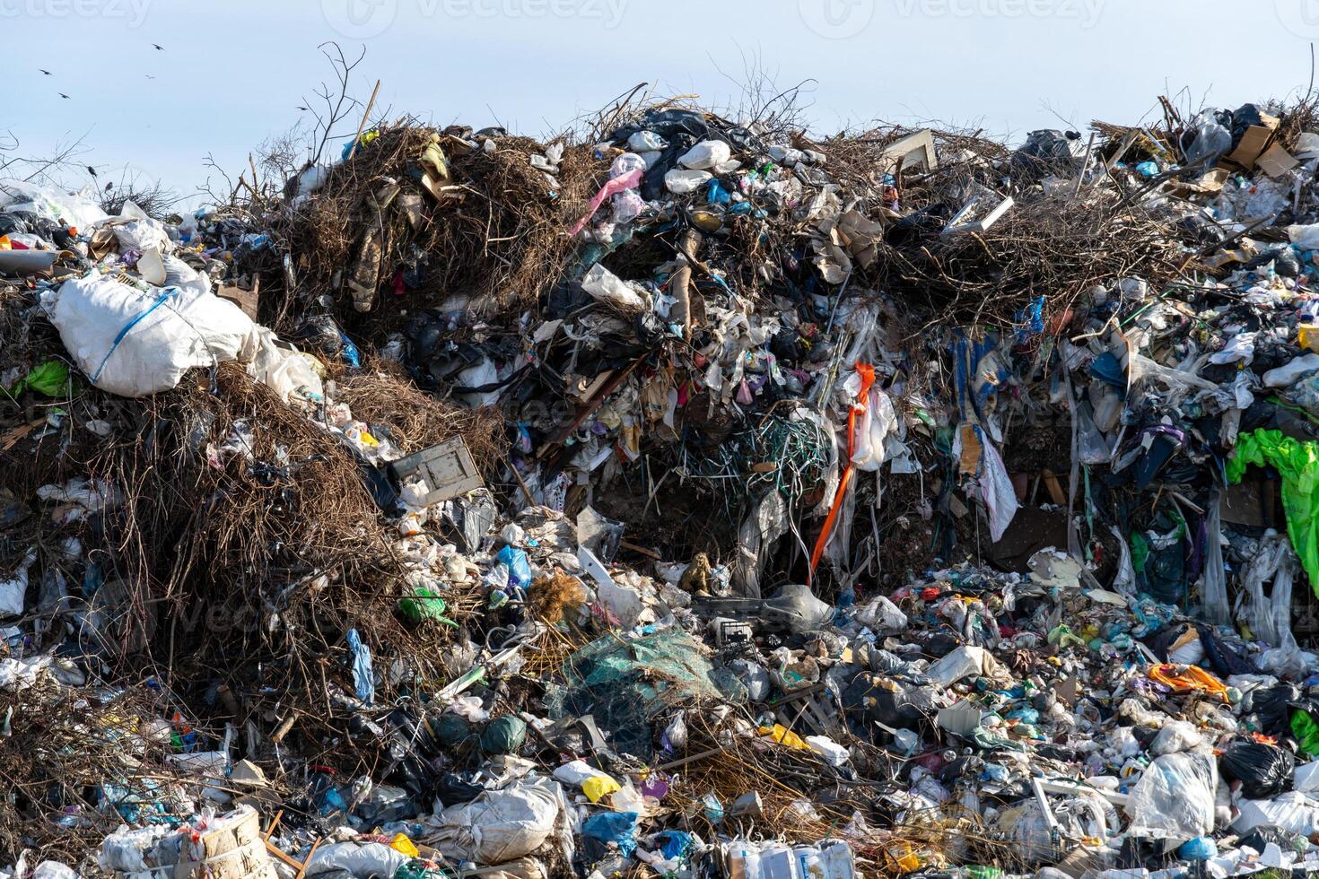 Accumulation of Trash and Debris Creates a Mountain of Waste in a Landfill or Dump Site with Branches and Bags photo