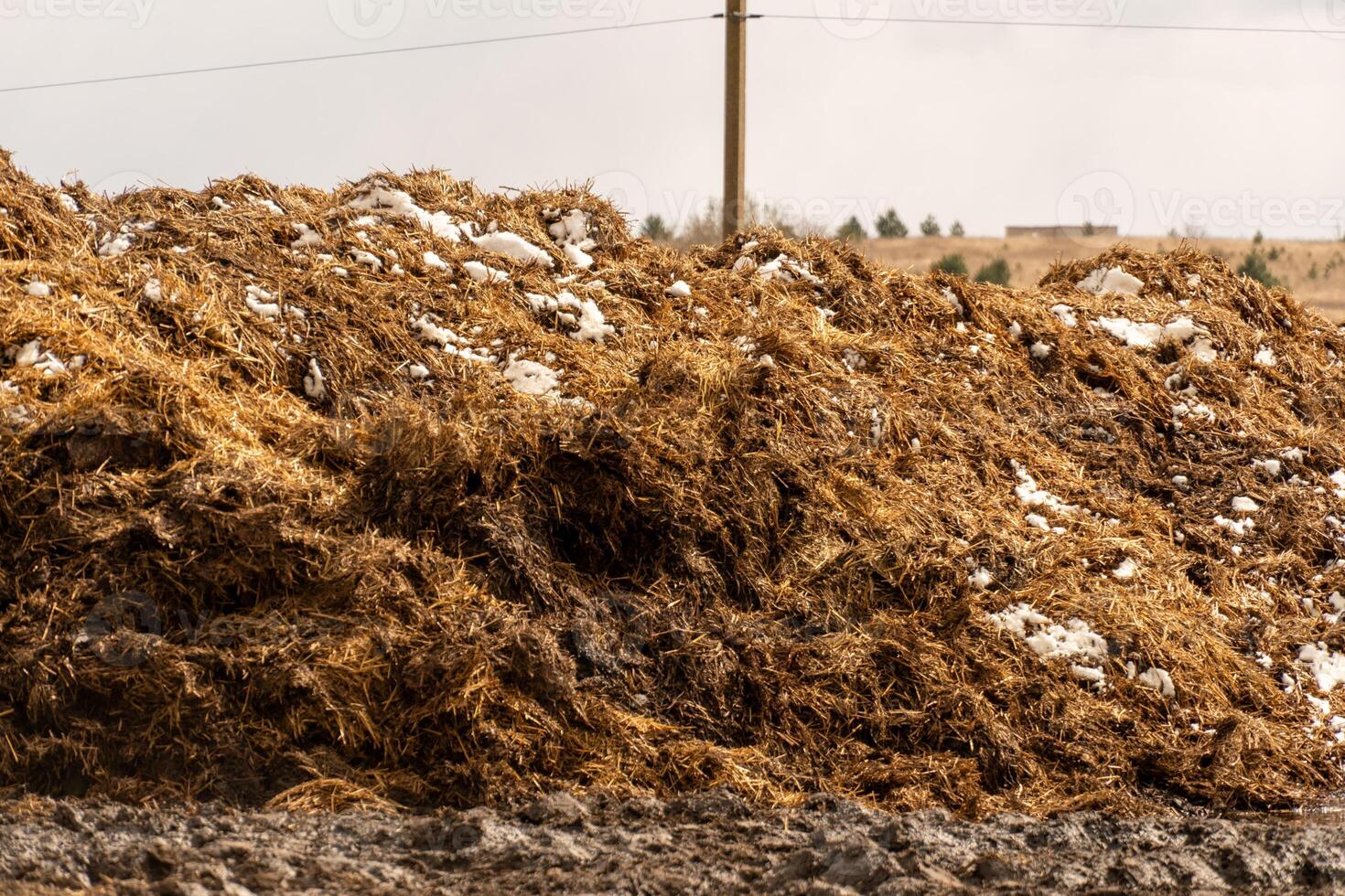 Large Hay Bale with Patches of Snow in a Field on an Overcast Day photo
