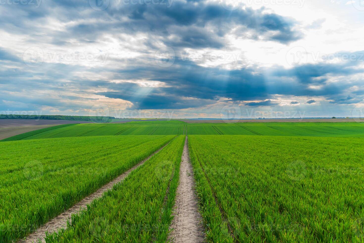 Lush green fields stretch across the landscape, marked by narrow dirt paths. The sky is filled with clouds, creating a beautiful contrast at sunset photo