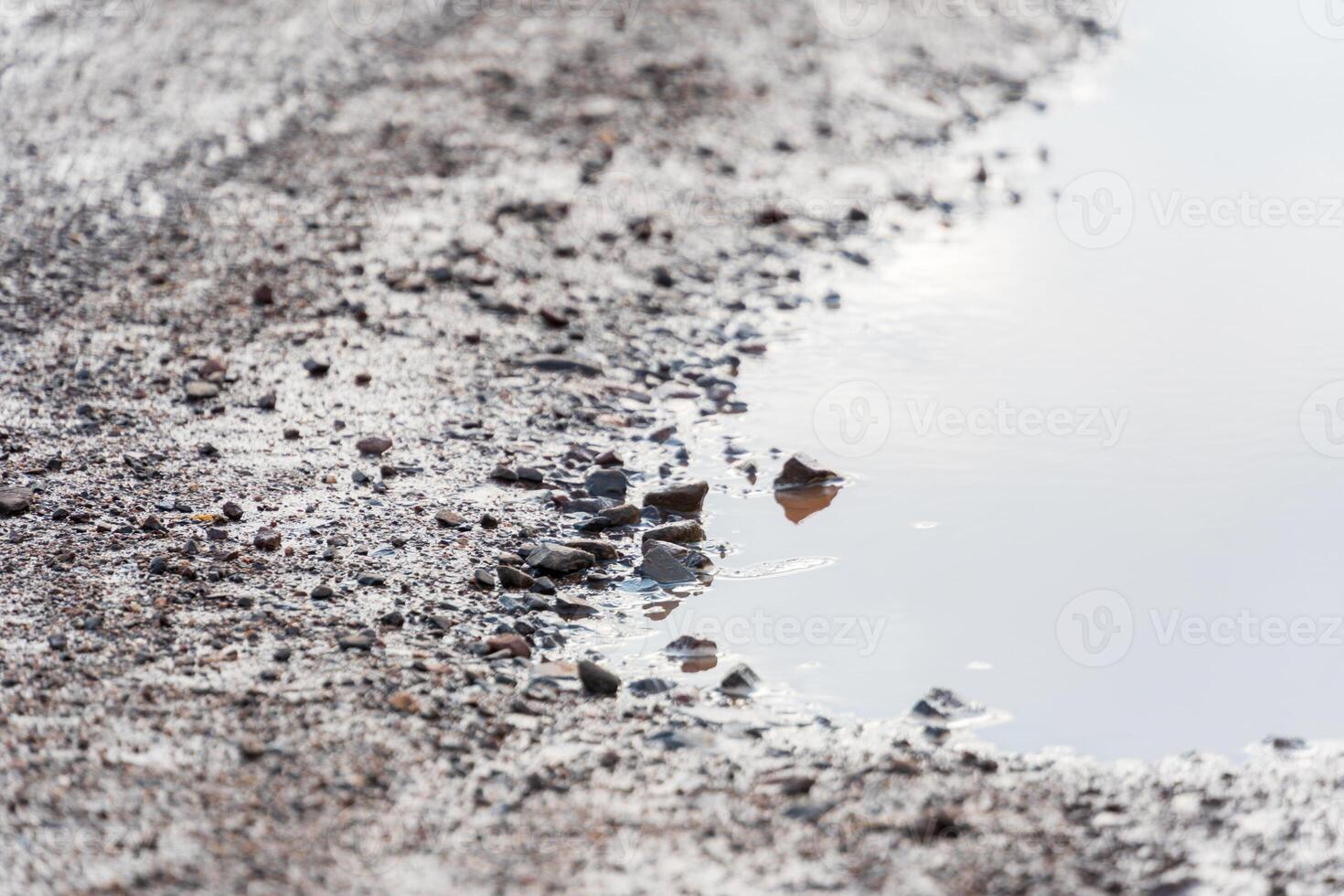 A rugged path is visible with rocks and pebbles alongside a water puddle formed from recent rain. The cloudy sky adds to the rural atmosphere photo