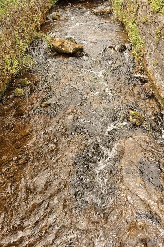 A narrow, fast-flowing stream winds through a stone-walled channel, surrounded by vibrant greenery. Moss-covered stones and dense plants create rich texture and evoke a serene, natural atmosphere. photo