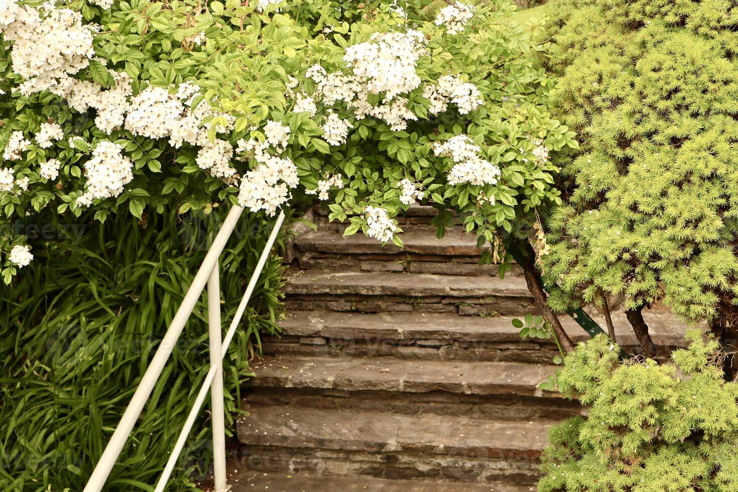 A picturesque garden staircase made of natural stone leads upward photo