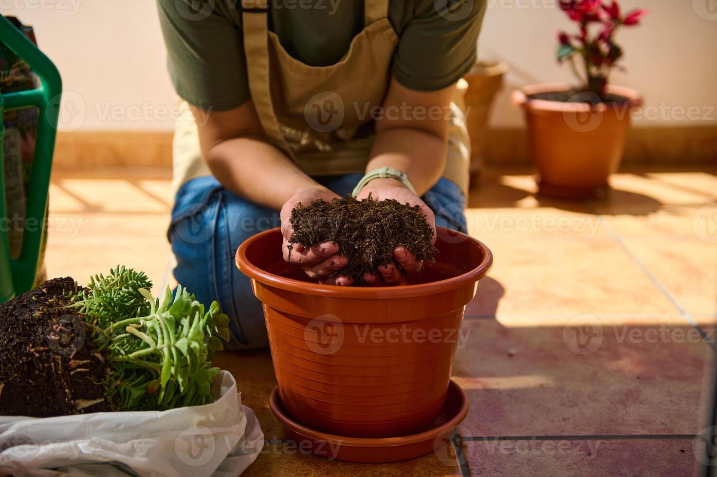Person Gardening on a Sunny Balcony, Holding Soil for Potting Houseplants photo