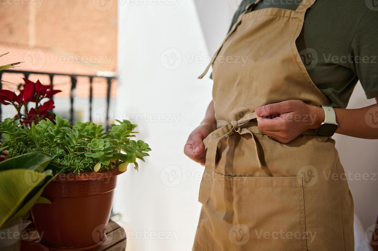 Gardening Enthusiast on Sunny Balcony Tending to Lush Houseplants photo