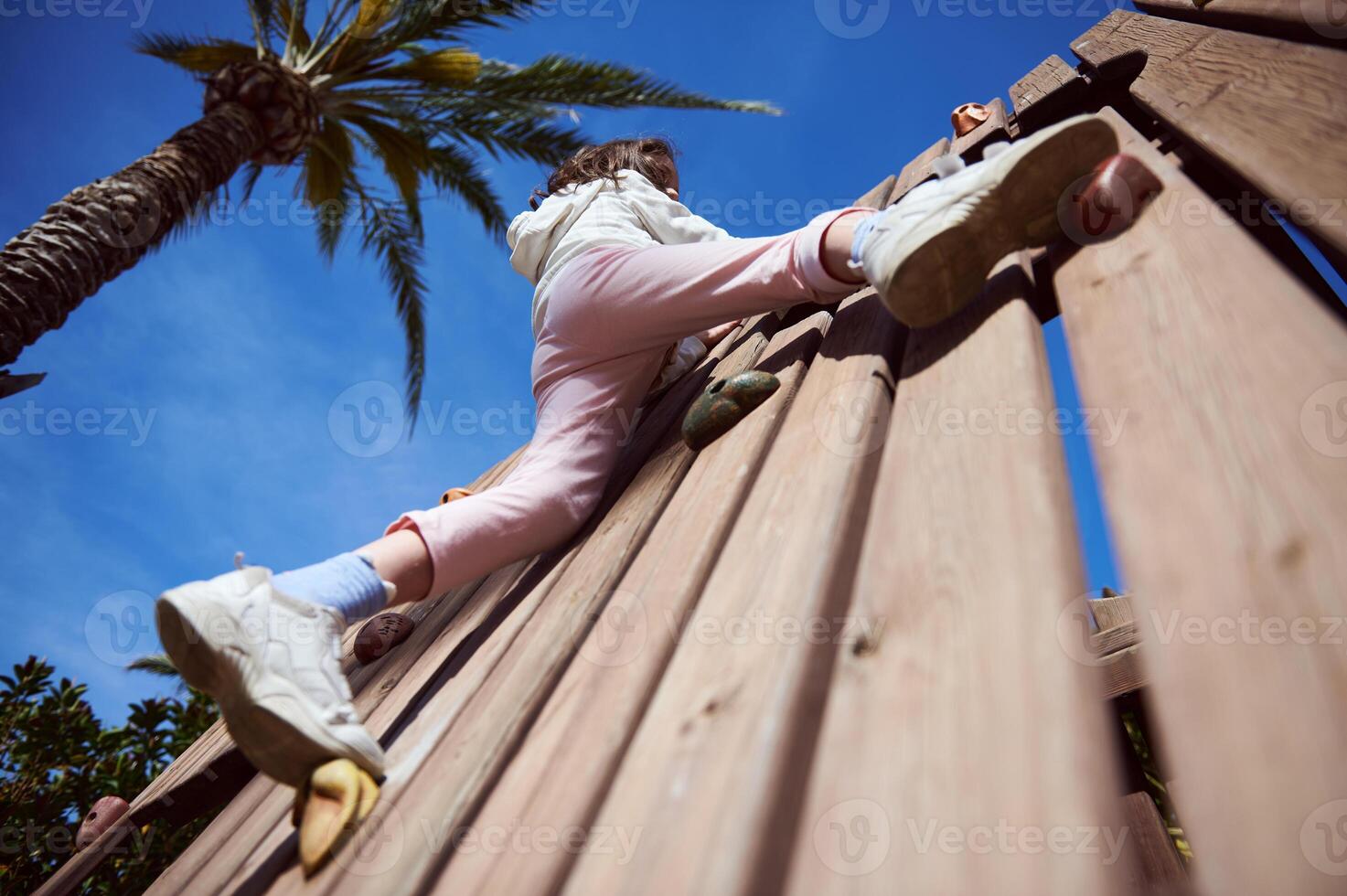 Child Climbing a Wooden Play Structure with a Blue Sky and Palm Tree in the Background photo