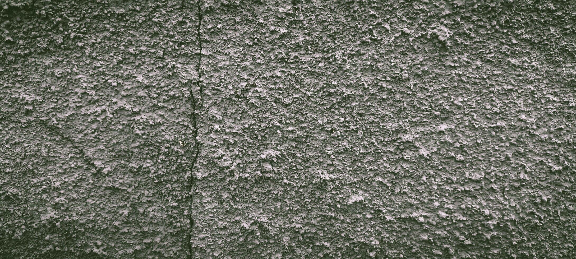 Textured Gray Wall with Vertical Crack, Detailed Close-Up Surface photo