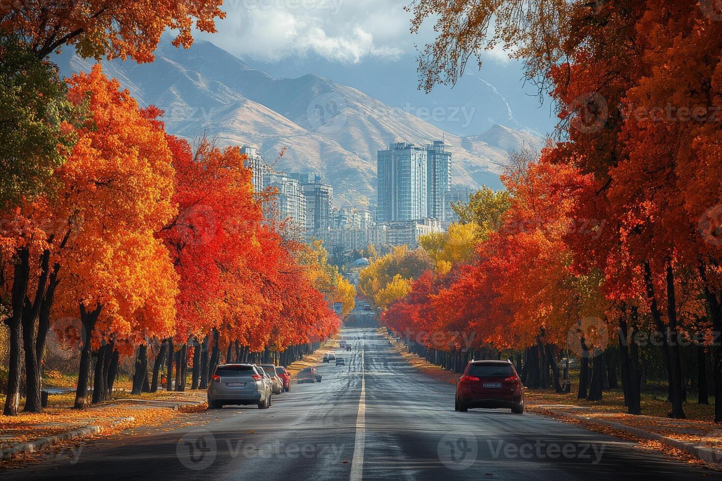 Cars driving on a scenic road lined with colorful autumn trees photo