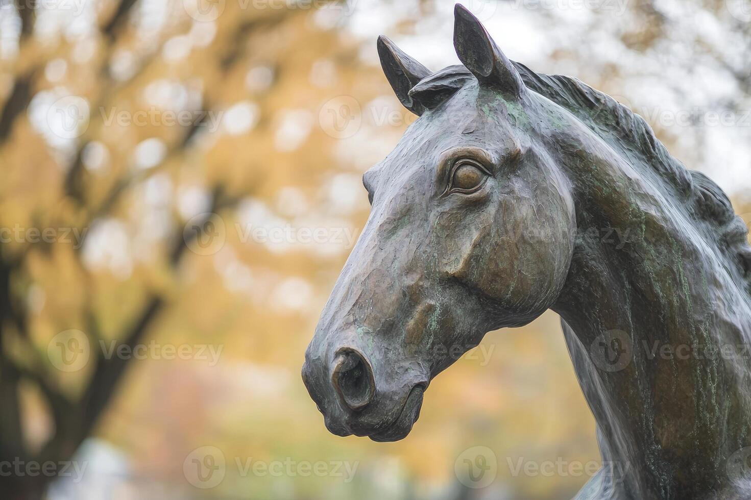 Bronze horse statue is posing in a park in autumn photo