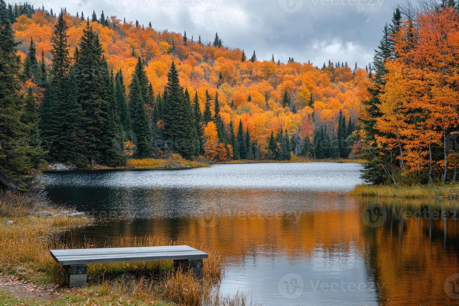 Empty bench resting by a lake surrounded by colorful autumn trees photo