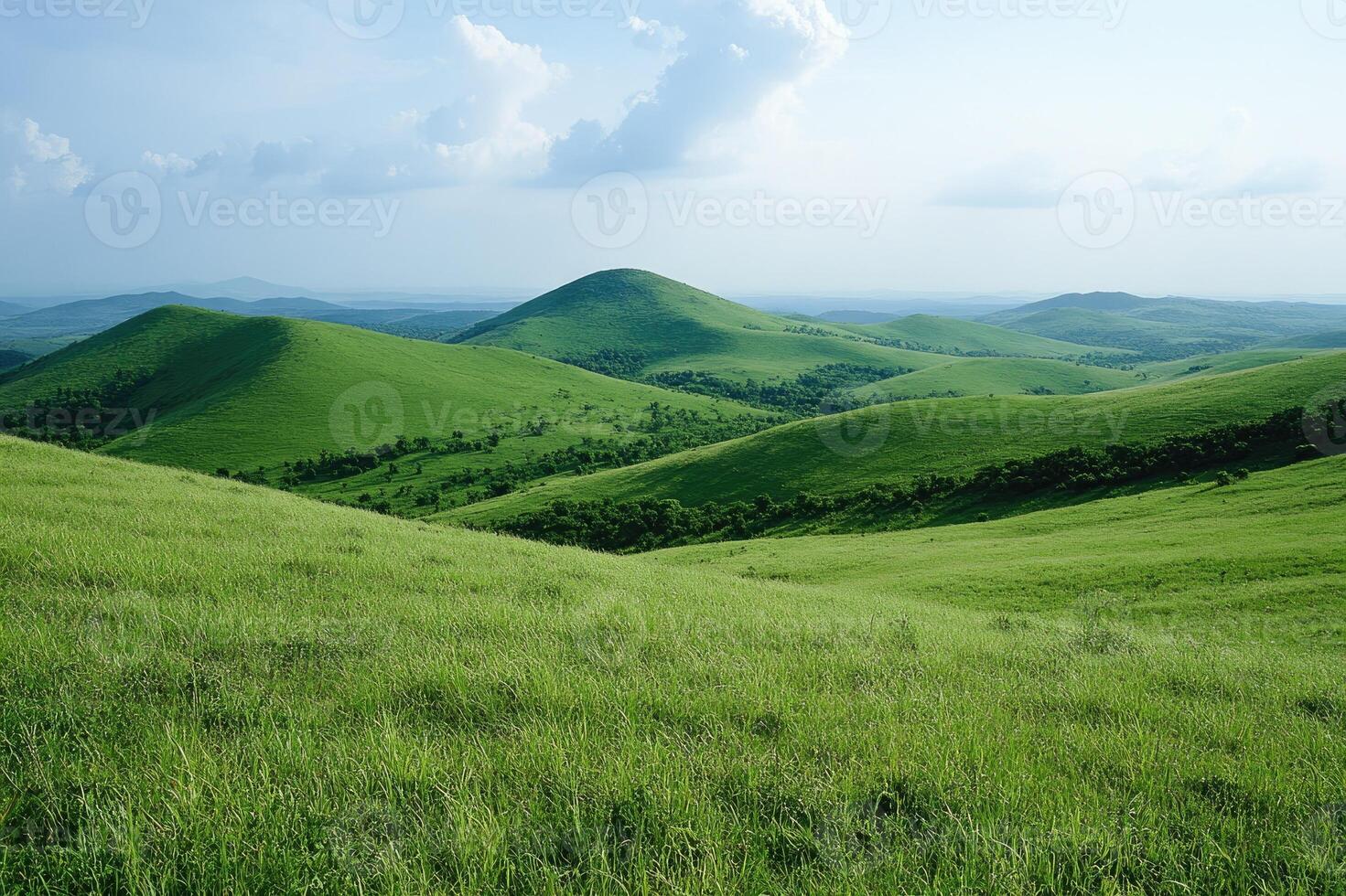 Lush green rolling hills stretching to the horizon on a sunny day photo